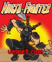 game pic for Ninja Fighter